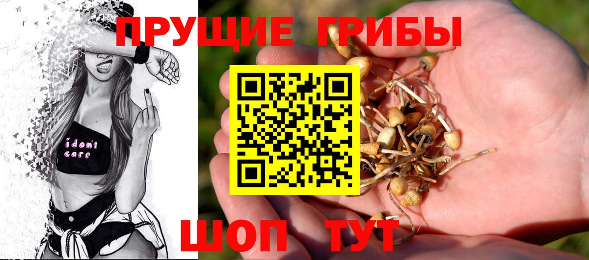 Псилоцибиновые грибы Cubensis Мичуринск