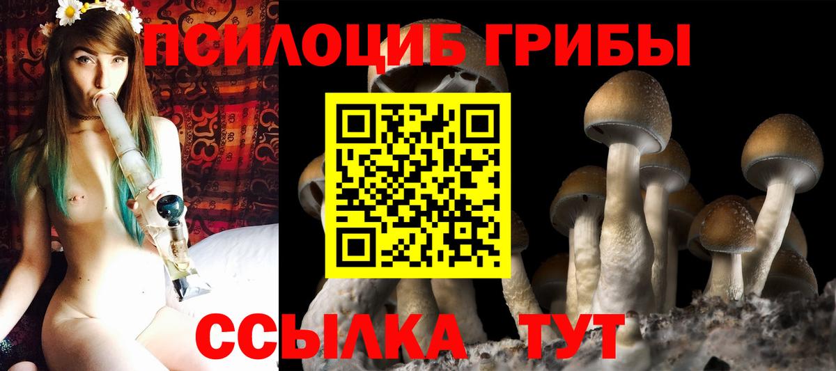 Мичуринск  Псилоцибиновые грибы Magic Shrooms  Вход с VPN 